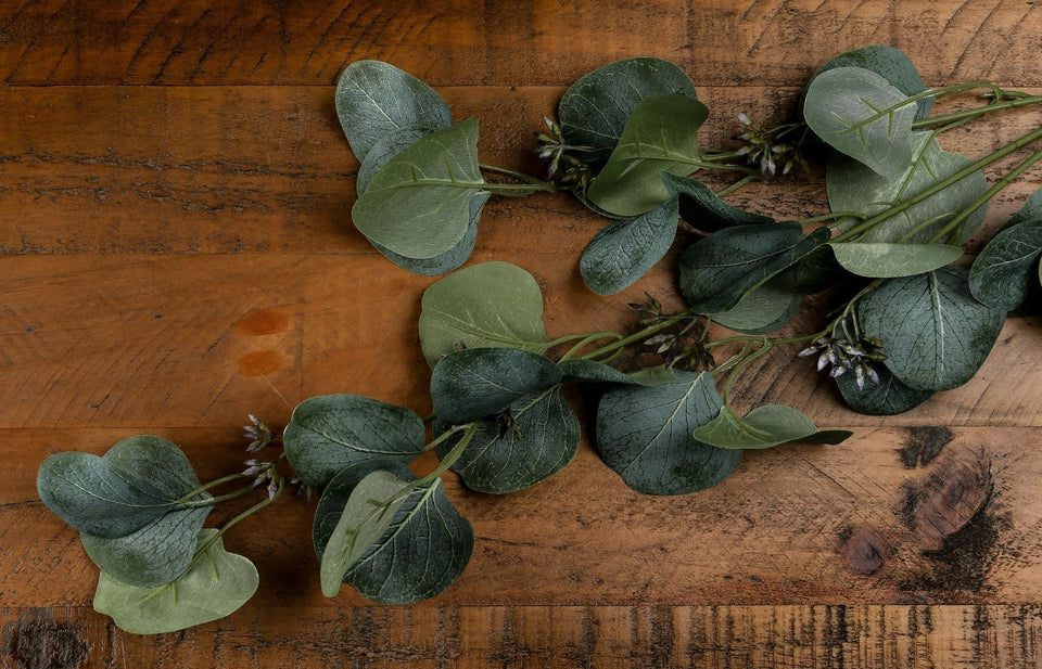Eucalyptus Stem Spray in GREEN