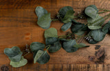 Eucalyptus Stem Spray in GREEN