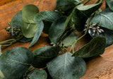 Eucalyptus Stem Spray in GREEN
