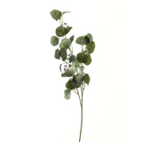 Eucalyptus Stem Spray in GREEN