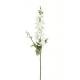 Tall White Delphinium Stem in WHITE
